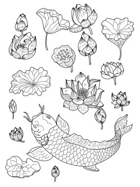 İzole edilmiş beyaz arka plan üzerine tişört basmak için Koi balık vektörü. El çizimi lotus ve koi balığı sazan balığı arka plan baskısı için vektörü. Resim yapmak için şanslı Çin hayvan illüstrasyonu.