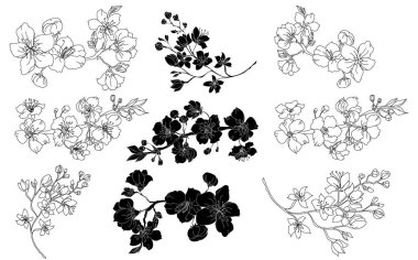 Serbest el Sakura çiçek vektörü seti, Güzel çizgi sanatı Şeftali çiçekleri beyaz arkaplanda izole edildi. Kiraz çiçeği illüstrasyon seti. Kartları birleştirmek ya da arkaplanda yazdırmak için unsur.. 