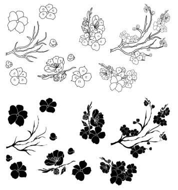Free hand Sakura flower vector set, Beautiful line art Peach blossom isolate on white background.Cherry blossom illustration set.Element for weding card or printing on backdrop.  clipart