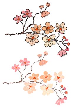 Serbest el Sakura çiçek vektörü seti, Güzel çizgi sanatı Şeftali çiçekleri beyaz arkaplanda izole edildi. Kiraz çiçeği illüstrasyon seti. Kartları birleştirmek ya da arkaplanda yazdırmak için unsur.. 