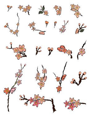 Serbest el Sakura çiçek vektörü seti, Güzel çizgi sanatı Şeftali çiçekleri beyaz arkaplanda izole edildi. Kiraz çiçeği illüstrasyon seti. Kartları birleştirmek ya da arkaplanda yazdırmak için unsur.. 