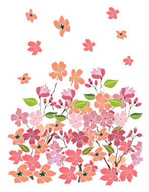 Serbest el Sakura çiçek vektörü seti, Güzel çizgi sanatı Şeftali çiçekleri beyaz arkaplanda izole edildi. Kiraz çiçeği illüstrasyon seti. Kartları birleştirmek ya da arkaplanda yazdırmak için unsur.. 