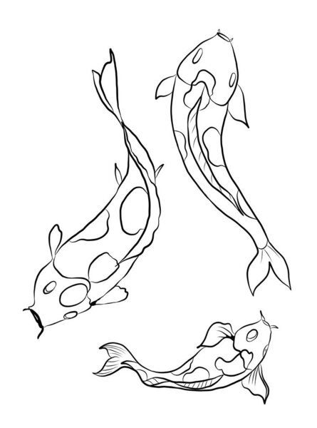 koi carp vector isolate for tattoo.Japanese carp drawing.Hand drawn line art of Koi carp. Vector isolated. Idea for tattoo and coloring books.Traditional Japanese culture element for printing on wall.