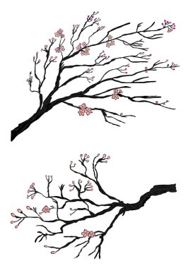 İzole edilmiş beyaz arkaplanda dövme stili için Sakura çiçek vektörü. Renk kitabı için şeftali çiçeği illüstrasyonu. Karalama için güzel çizgi sanat eriği çiçeği..
