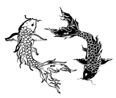 koi carp vector isolate for tattoo.Japanese carp drawing.Hand drawn line art of Koi carp. Vector isolated. Idea for tattoo and coloring books.Traditional Japanese culture element for printing on wall.