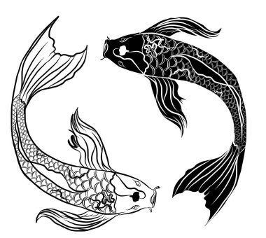 koi carp vector isolate for tattoo.Japanese carp drawing.Hand drawn line art of Koi carp. Vector isolated. Idea for tattoo and coloring books.Traditional Japanese culture element for printing on wall.