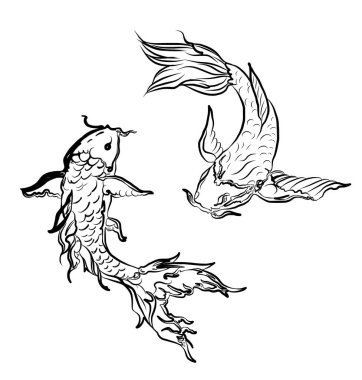 koi carp vector isolate for tattoo.Japanese carp drawing.Hand drawn line art of Koi carp. Vector isolated. Idea for tattoo and coloring books.Traditional Japanese culture element for printing on wall.