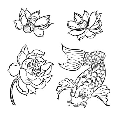 Güzel çizgi sanatı Koi sazan dövmesi tasarımı, renkli koi balığı ve çiçek. Beyaz arkaplanda basım için geleneksel Japon kültürü sanatı. 