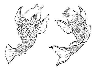 koi carp vector isolate for tattoo.Japanese carp drawing.Hand drawn line art of Koi carp. Vector isolated. Idea for tattoo and coloring books.Traditional Japanese culture element for printing on wall.
