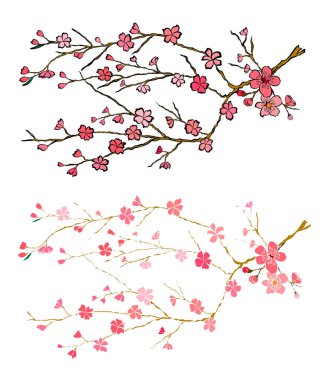 Serbest el Sakura çiçek vektörü seti, Güzel çizgi sanatı Şeftali çiçekleri beyaz arkaplanda izole edildi. Kiraz çiçeği illüstrasyon seti. Kartları birleştirmek ya da arkaplanda yazdırmak için unsur.. 