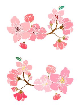 Serbest el Sakura çiçek vektörü seti, Güzel çizgi sanatı Şeftali çiçekleri beyaz arkaplanda izole edildi. Kiraz çiçeği illüstrasyon seti. Kartları birleştirmek ya da arkaplanda yazdırmak için unsur.. 