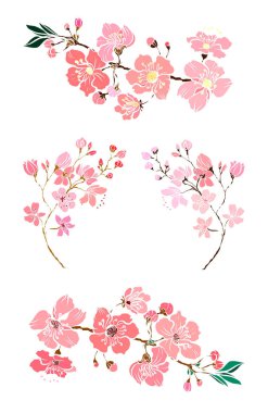 Serbest el Sakura çiçek vektörü seti, Güzel çizgi sanatı Şeftali çiçekleri beyaz arkaplanda izole edildi. Kiraz çiçeği illüstrasyon seti. Kartları birleştirmek ya da arkaplanda yazdırmak için unsur.. 