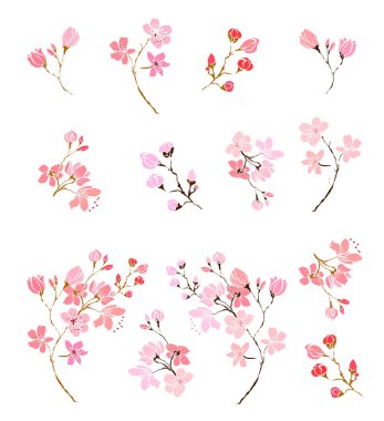 Serbest el Sakura çiçek vektörü seti, Güzel çizgi sanatı Şeftali çiçekleri beyaz arkaplanda izole edildi. Kiraz çiçeği illüstrasyon seti. Kartları birleştirmek ya da arkaplanda yazdırmak için unsur.. 