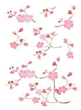 Serbest el Sakura çiçek vektörü seti, Güzel çizgi sanatı Şeftali çiçekleri beyaz arkaplanda izole edildi. Kiraz çiçeği illüstrasyon seti. Kartları birleştirmek ya da arkaplanda yazdırmak için unsur.. 