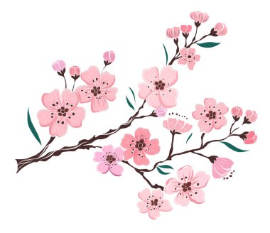 Serbest el Sakura çiçek vektörü seti, Güzel çizgi sanatı Şeftali çiçekleri beyaz arkaplanda izole edildi. Kiraz çiçeği illüstrasyon seti. Kartları birleştirmek ya da arkaplanda yazdırmak için unsur..