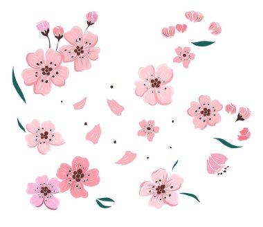 Serbest el Sakura çiçek vektörü seti, Güzel çizgi sanatı Şeftali çiçekleri beyaz arkaplanda izole edildi. Kiraz çiçeği illüstrasyon seti. Kartları birleştirmek ya da arkaplanda yazdırmak için unsur..