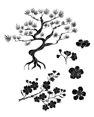 Serbest el Sakura çiçek vektörü seti, Güzel çizgi sanatı Şeftali çiçekleri beyaz arkaplanda izole edildi. Kiraz çiçeği illüstrasyon seti. Kartları birleştirmek ya da arkaplanda yazdırmak için unsur..