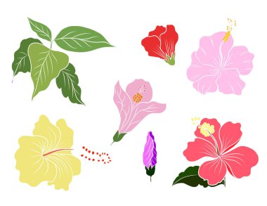 Siyah ve beyaz Hibiscus vektörü beyaz arkaplanda izole edildi