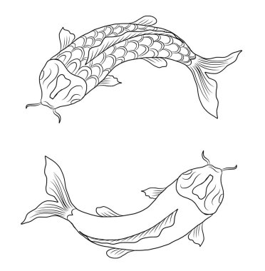 koi carp vector isolate for tattoo.Japanese carp drawing.Hand drawn line art of Koi carp. Vector isolated. Idea for tattoo and coloring books.Traditional Japanese culture element for printing on wall.