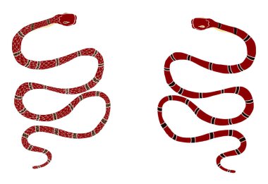 Kırmızı yılan vektörü. Lampropeltis triangulum vektörü. Dövme için kalp ve el yapımı yılan..