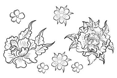 Arkaplanda resim yapmak için çiçek vektörü seti. Perdeye yazı yazdırmak için şakayık. Nakış tarzı için geleneksel Asya çiçekleri. Gül çiçeği. Yaz için güzel bir çizgi..