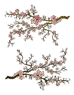 Serbest el Sakura çiçek vektörü seti, Güzel çizgi sanatı Şeftali çiçekleri beyaz arkaplanda izole edildi. Kiraz çiçeği illüstrasyon seti. Kartları birleştirmek ya da arkaplanda yazdırmak için unsur.. 