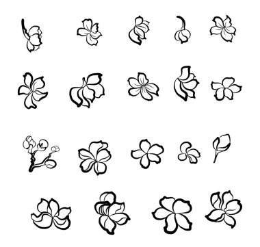 Serbest el Sakura çiçek vektörü seti, Güzel çizgi sanatı Şeftali çiçekleri beyaz arkaplanda izole edildi. Kiraz çiçeği illüstrasyon seti. Kartları birleştirmek ya da arkaplanda yazdırmak için unsur.. 