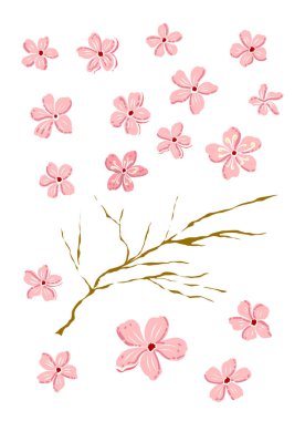 Beyaz üzerine kiraz ağacı dalı. Vektör illüstrasyonu Sakura Çiçeği, Güzel Şeftali Çiçeği izole vektörü. Japon çiçekleri..