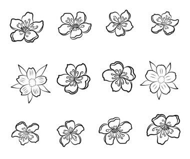Beyaz üzerine kiraz ağacı dalı. Vektör illüstrasyonu Sakura Çiçeği, Güzel Şeftali Çiçeği izole vektörü. Japon çiçekleri..