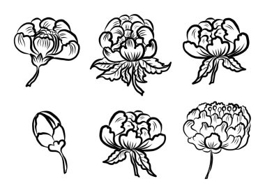 Dövme tasarımı için şakayık çiçek vektörü. Karalama sanatı ve arka planda baskı için geleneksel Japon çiçek çizimi..
