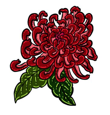 colorful flower with chrysanthemum for printing on background. Chrysanthemum flower vector for tattoo design.Japanese floral illustration for doodle art on white isolated background.