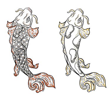 koi carp vector isolate for tattoo.Japanese carp drawing.Hand drawn line art of Koi carp. Vector isolated. Idea for tattoo and coloring books.Traditional Japanese culture element for printing on wall.