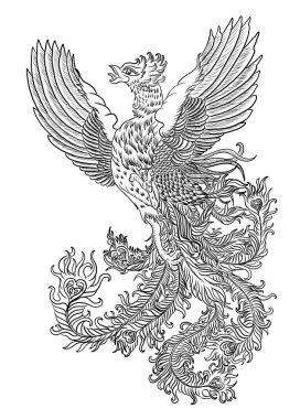 Arka planda dövme tasarımı için Phoenix 'in güzel çizgi sanatı. Gömlekte baskı için Phoenix vektörü. Karalama sanatı için altın vektör illüstrasyonu ve beyaz izole arkaplan üzerine boyama kitabı..