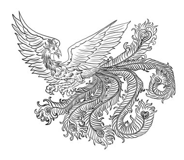 Arka planda dövme tasarımı için Phoenix 'in güzel çizgi sanatı. Gömlekte baskı için Phoenix vektörü. Karalama sanatı için Phoenix vektör çizimi ve beyaz izole edilmiş arka plan üzerine boyama kitabı..