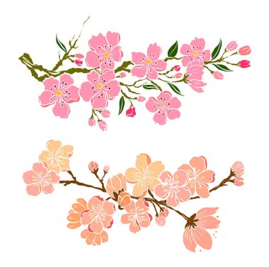 Serbest el Sakura çiçek vektörü seti, Güzel çizgi sanatı Şeftali çiçekleri beyaz arkaplanda izole edildi. Kiraz çiçeği illüstrasyon seti. Kartları birleştirmek ya da arkaplanda yazdırmak için unsur.. 