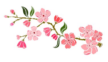 Serbest el Sakura çiçek vektörü seti, Güzel çizgi sanatı Şeftali çiçekleri beyaz arkaplanda izole edildi. Kiraz çiçeği illüstrasyon seti. Kartları birleştirmek ya da arkaplanda yazdırmak için unsur.. 