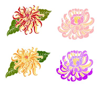 El çizimi Bahçe Kasımpatı veya Kasımpatı Çiçeği. Siyah-beyaz Çin tarzı Kasımpatı çiçek dövmesi. Arka planda basım ve boyama kitabı için geleneksel Japon kültürü..