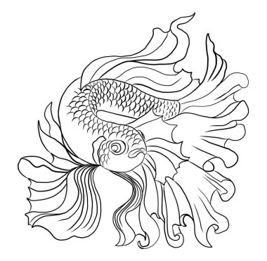 Elementler için el çizimi siam beta balığı illüstrasyonu. İzole edilmiş beyaz arkaplan üzerine gömlek basmak için altın çizgi Koi balık vektörü. Arka plan üzerine resim yapmak için geleneksel Japon kültürü..