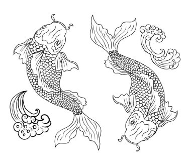 koi carp vector isolate for tattoo.Japanese carp drawing.Hand drawn line art of Koi carp. Vector isolated. Idea for tattoo and coloring books.Traditional Japanese culture element for printing on wall.