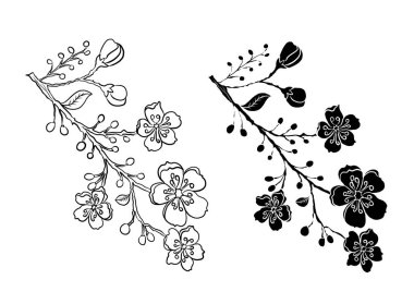 Beyaz üzerine kiraz ağacı dalı. Vektör illüstrasyonu Sakura Çiçeği, Güzel Şeftali Çiçeği izole vektörü. Japon çiçekleri..