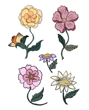 Arkaplanda resim yapmak için çiçek vektörü seti. Perdeye yazı yazdırmak için şakayık. Nakış tarzı için geleneksel Asya çiçekleri. Gül çiçeği. Yaz için güzel bir çizgi..