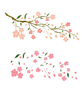 Şeftali çiçeği ve kiraz çiçeği seti. Sakura vektör seti. Karantina ve altın çiçek., 