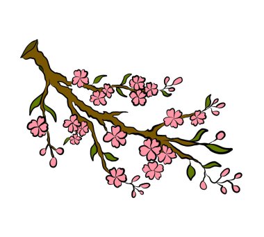 Serbest el Sakura çiçek vektörü seti, Güzel çizgi sanatı Şeftali çiçekleri beyaz arkaplanda izole edildi. Kiraz çiçeği illüstrasyon seti. Kartları birleştirmek ya da arkaplanda yazdırmak için unsur.. 