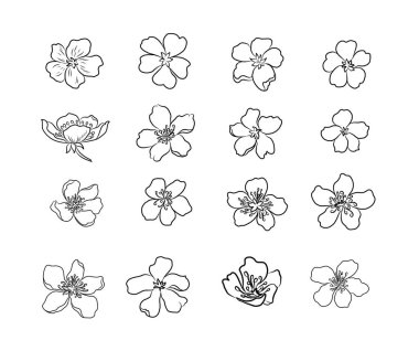 Serbest el Sakura çiçek vektörü seti, Güzel çizgi sanatı Şeftali çiçekleri beyaz arkaplanda izole edildi. Kiraz çiçeği illüstrasyon seti. Kartları birleştirmek ya da arkaplanda yazdırmak için unsur.. 