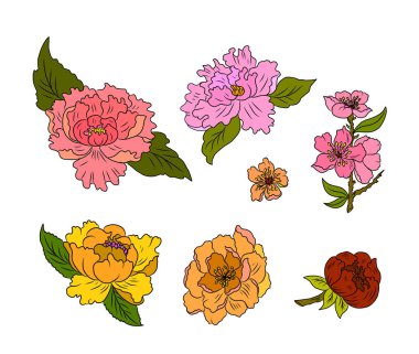 Set of flower vector for painting on background.Peony for printing on curtain.Traditional  Asian floral illustration for embroidery style.Rose flower.Beautiful line art for summer.