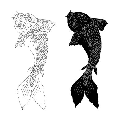 koi carp vector isolate for tattoo.Japanese carp drawing.Hand drawn line art of Koi carp. Vector isolated. Idea for tattoo and coloring books.Traditional Japanese culture element for printing on wall.