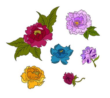 Arkaplanda resim yapmak için çiçek vektörü seti. Perdeye yazı yazdırmak için şakayık. Nakış tarzı için geleneksel Asya çiçekleri. Gül çiçeği. Yaz için güzel bir çizgi..