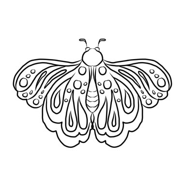 Renkli Kelebek Sanat Baskısı posteri, Kelebek Duvarı dekorasyonu, gerçekçi vektör kelebekleri. Kelebeklerin zarif çizimlerinin koleksiyonu. Klip sanatı. Projeniz için tasarım elemanı.