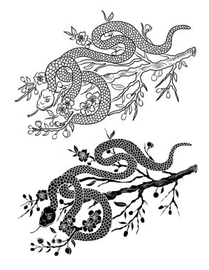 red snake vector and Cherry flower spring season vector illustration background.Poster design Red snake Reptile and Sakura flower for printing and tattoo.