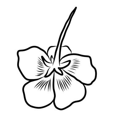 Beyaz kiraz çiçeği dalı. Vektör illüstrasyonu Sakura Çiçeği, Güzel Şeftali çiçeği izole vektörü. Japon çiçeği. Güzel bir arka plan için elementler..